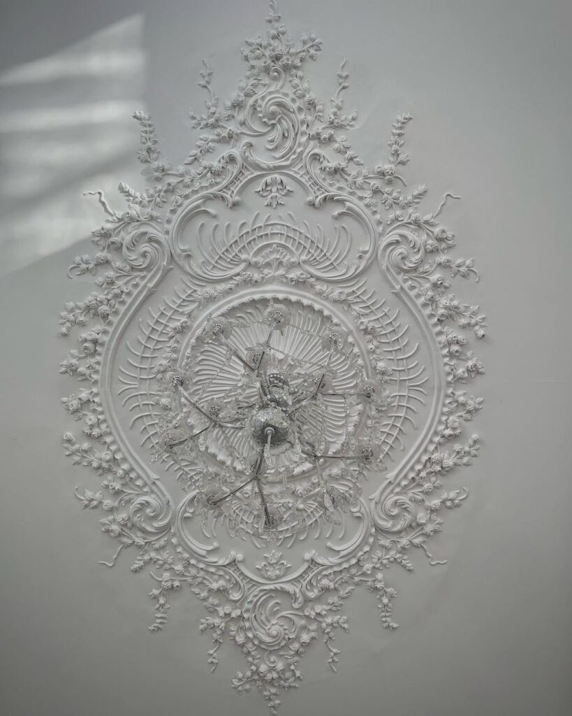 whatsapp image 2025 11 18 at 4.54.16 pm